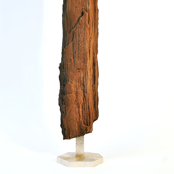Petrified wood